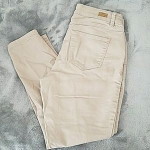 Miss Poured in Blue Tan Pants